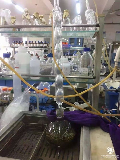 吉林柳河縣 以葡聚糖大米技術開發(fā)引領農(nóng)業(yè)升級，推動農(nóng)民持續(xù)增收