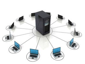 計算機網(wǎng)絡(luò)的分類概覽